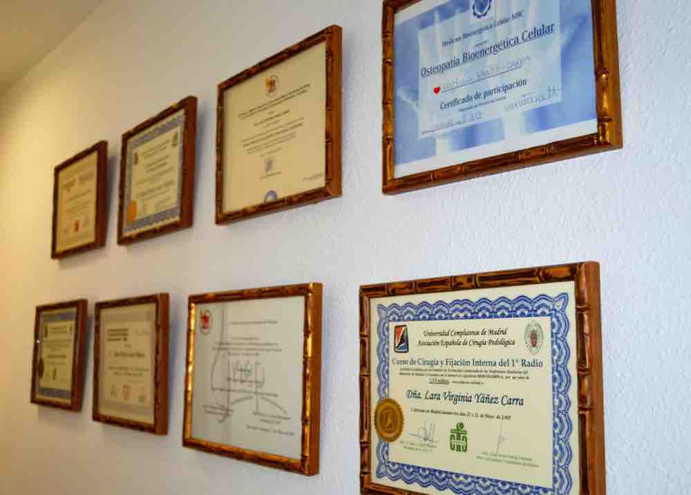 Detalle de algunas de las titulaciones de Lara Virginia